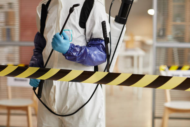 Professional Sewage Cleanup technician working in West Harwich, MA